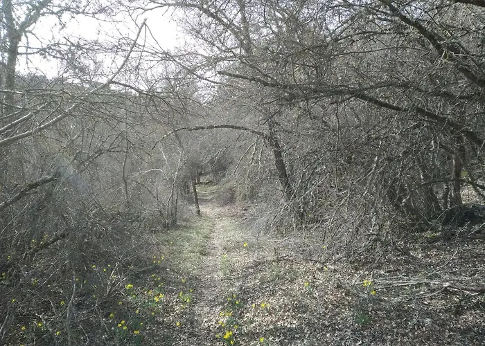 El Descanso Del Talegones *