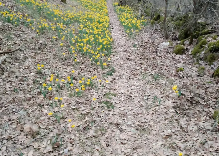 El Descanso Del Talegones Hébergement de vacances *